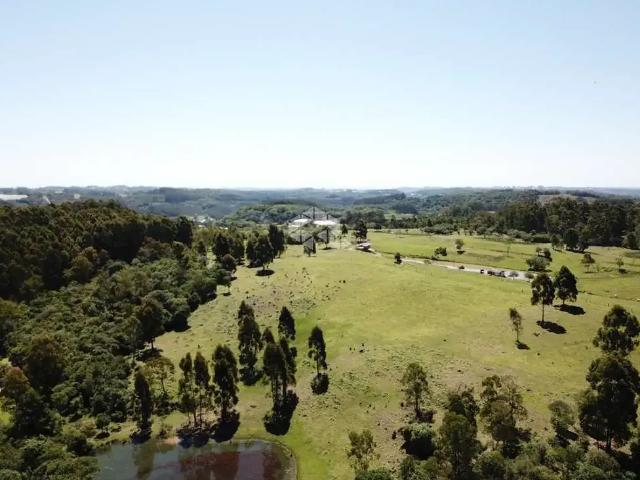 Sítio e chácara venda em Região Geográfica Imediata de Caxias do Sul, Farroupilha