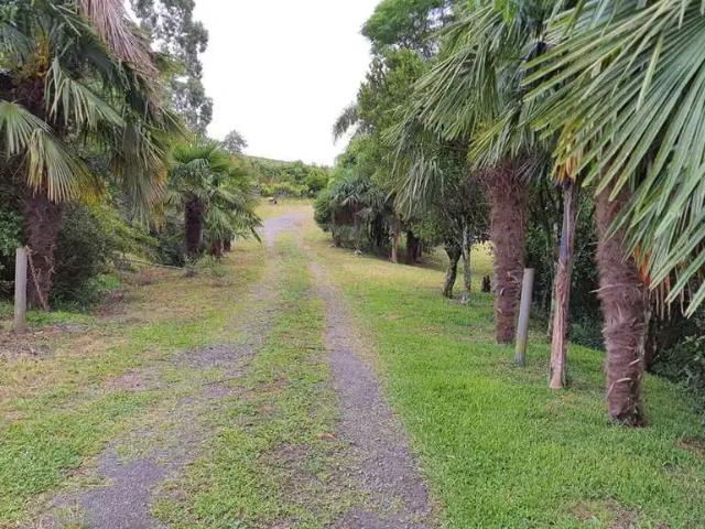 Sítio e chácara venda em Região Geográfica Imediata de Caxias do Sul, Farroupilha