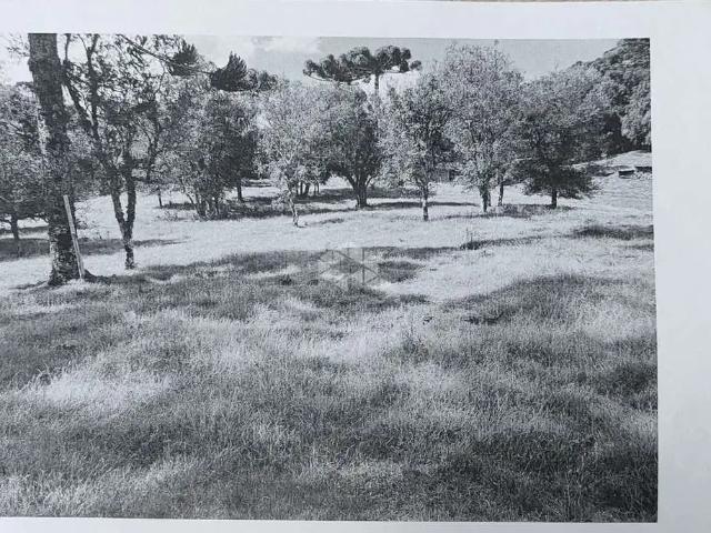 Sítio e chácara venda em Região Geográfica Imediata de Caxias do Sul, Farroupilha