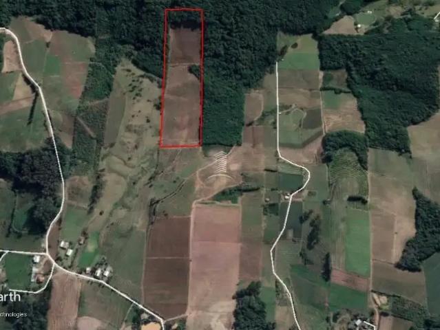 Sítio e chácara venda em Região Geográfica Imediata de Caxias do Sul, Farroupilha