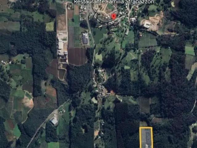 Sítio e chácara venda em Região Geográfica Imediata de Caxias do Sul, Farroupilha