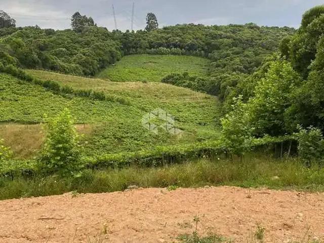 Sítio e chácara venda em Região Geográfica Imediata de Caxias do Sul, Farroupilha