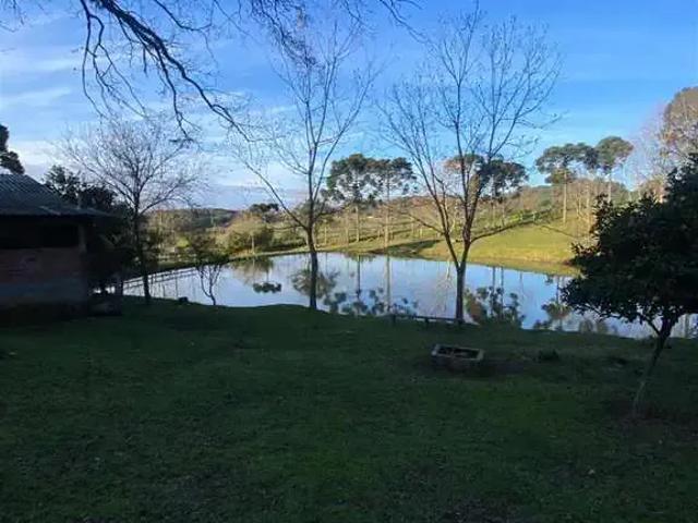 Sítio e chácara venda em Região Geográfica Imediata de Caxias do Sul, Farroupilha