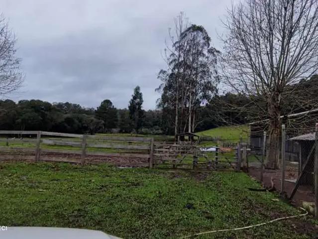 Sítio e chácara venda em Região Geográfica Imediata de Caxias do Sul, Farroupilha