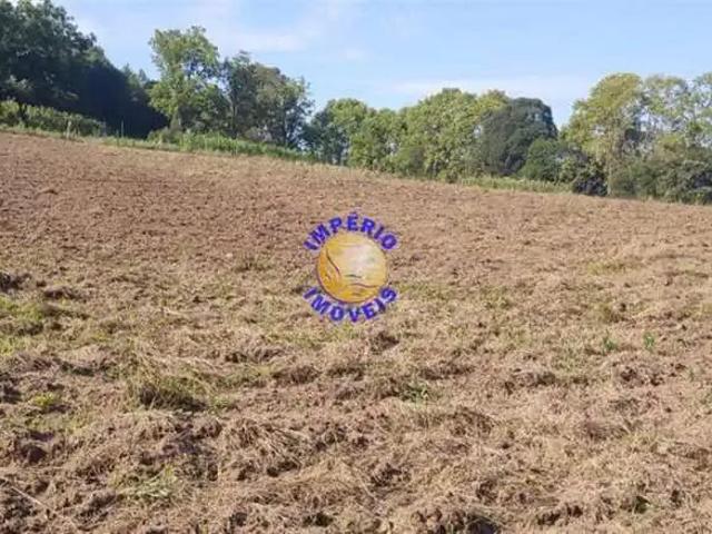 Sítio e chácara venda em Região Geográfica Imediata de Caxias do Sul, Farroupilha