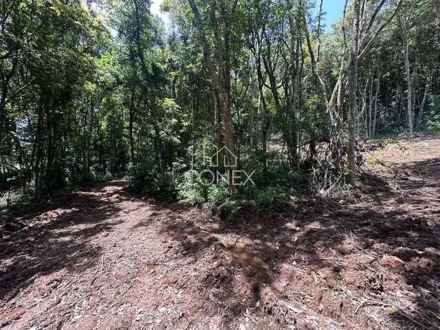 Sítio e chácara venda em Região Geográfica Imediata de Caxias do Sul, Farroupilha