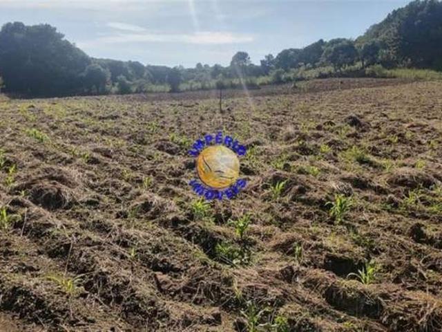 Sítio e chácara venda em Região Geográfica Imediata de Caxias do Sul, Farroupilha