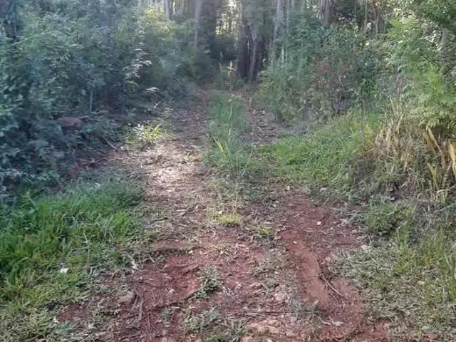 Sítio e chácara venda em Região Geográfica Imediata de Caxias do Sul, Farroupilha