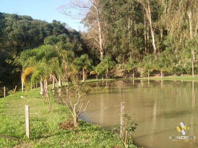 Sítio e chácara venda em Região Geográfica Imediata de Caxias do Sul, Farroupilha