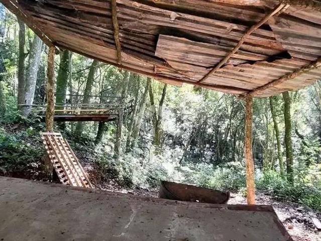 Sítio e chácara venda em Região Geográfica Imediata de Caxias do Sul, Farroupilha