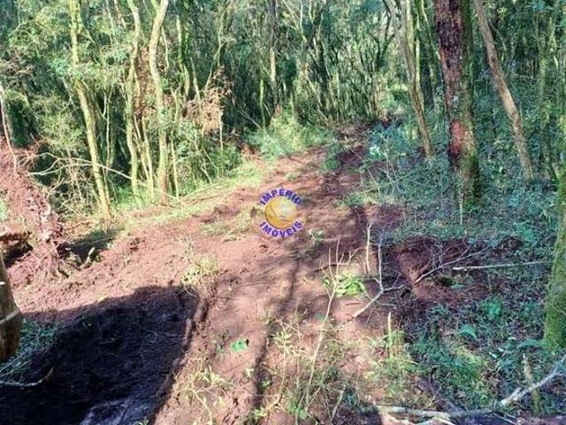 Sítio e chácara venda em Região Geográfica Imediata de Caxias do Sul, Farroupilha