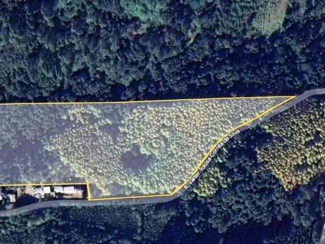 Sítio e chácara venda em Região Geográfica Imediata de Caxias do Sul, Farroupilha