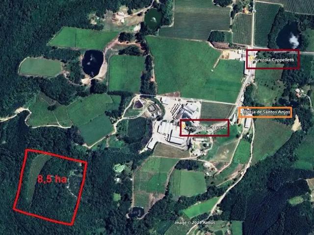 Sítio e chácara venda em Região Geográfica Imediata de Caxias do Sul, Farroupilha