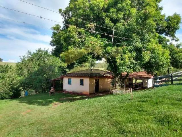 Sítio e chácara venda em Região Imediata de Piraju, Fartura