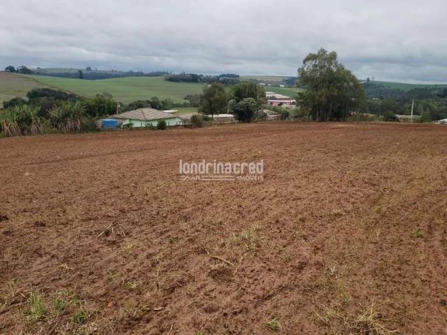 Sítio e chácara venda em Faxinal, Região Geográfica Intermediária de Londrina