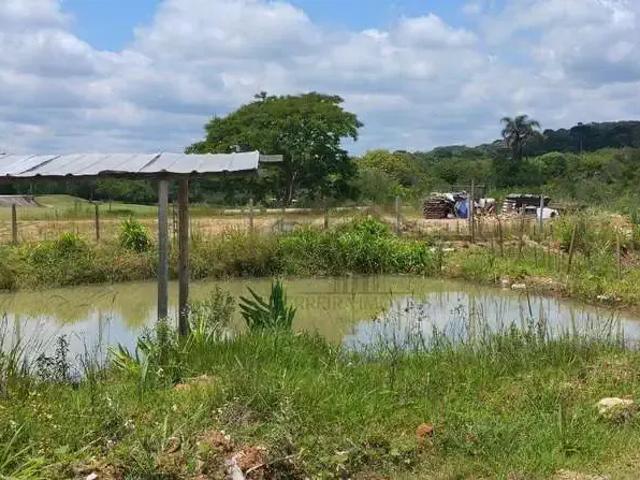 Sítio e chácara venda em Região Geográfica Imediata de Curitiba, Região Metropolitana de Curitiba