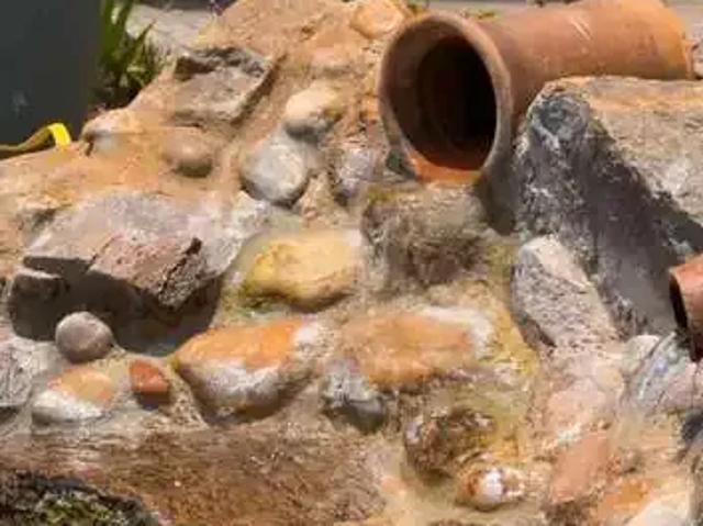 Sítio e chácara venda em Região Geográfica Imediata de Feira de Santana, Região Metropolitana de Feira de Santana