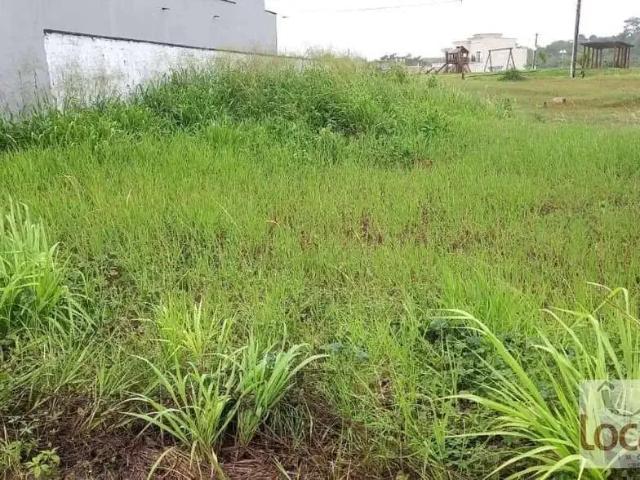Sítio e chácara venda em Região Geográfica Imediata de Feira de Santana, Região Metropolitana de Feira de Santana