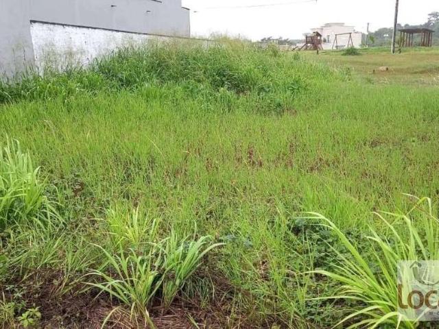 Sítio e chácara venda em Feira de Santana, Região Geográfica Intermediária de Feira de Santana