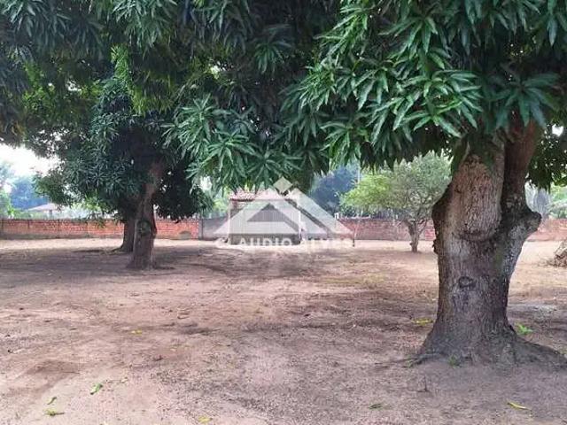 Sítio e chácara venda em Região Geográfica Imediata de Feira de Santana, Região Metropolitana de Feira de Santana