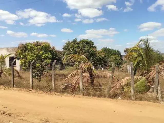 Sítio e chácara venda em Região Geográfica Imediata de Feira de Santana, Região Metropolitana de Feira de Santana
