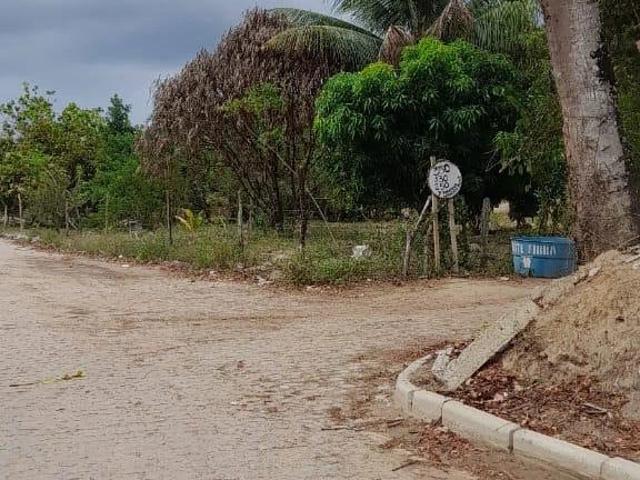 Sítio e chácara venda em Feira de Santana, Região Geográfica Intermediária de Feira de Santana