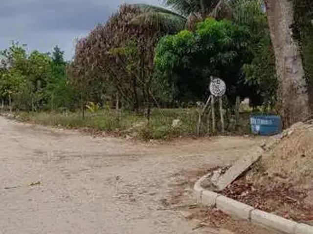 Sítio e chácara venda em Região Geográfica Imediata de Feira de Santana, Região Metropolitana de Feira de Santana