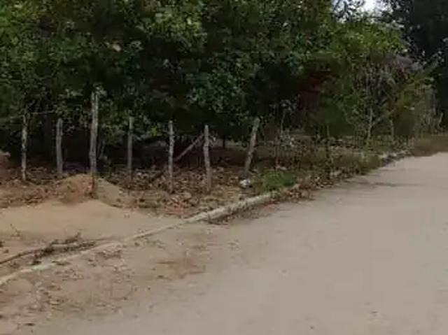 Sítio e chácara venda em Região Geográfica Imediata de Feira de Santana, Região Metropolitana de Feira de Santana