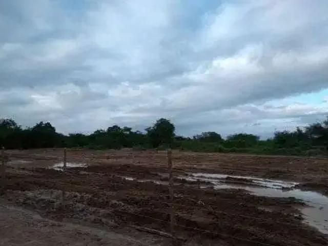 Sítio e chácara venda em Região Geográfica Imediata de Feira de Santana, Região Metropolitana de Feira de Santana