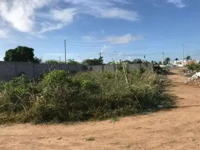 Sítio e chácara venda em Região Geográfica Imediata de Feira de Santana, Região Metropolitana de Feira de Santana