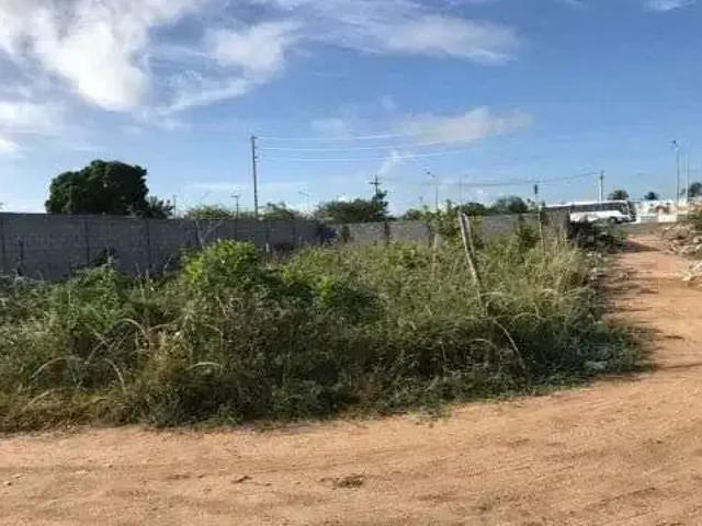 Sítio e chácara venda em Região Geográfica Imediata de Feira de Santana, Região Metropolitana de Feira de Santana