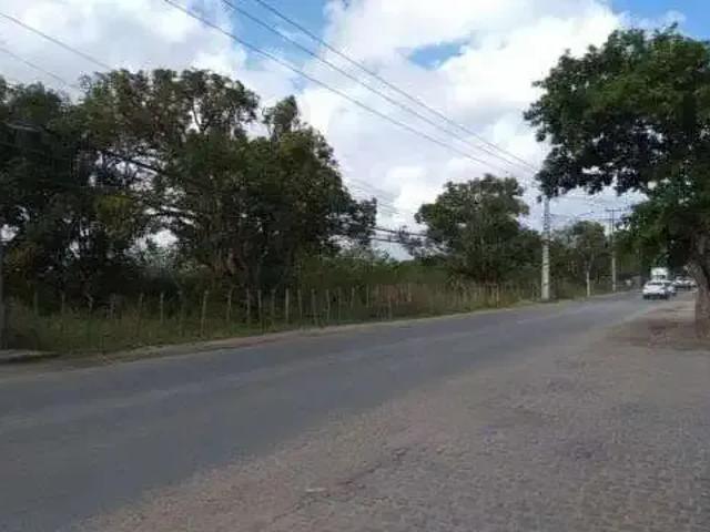 Sítio e chácara venda em Região Geográfica Imediata de Feira de Santana, Região Metropolitana de Feira de Santana