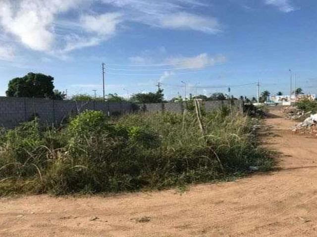 Sítio e chácara venda em Feira de Santana, Região Geográfica Intermediária de Feira de Santana