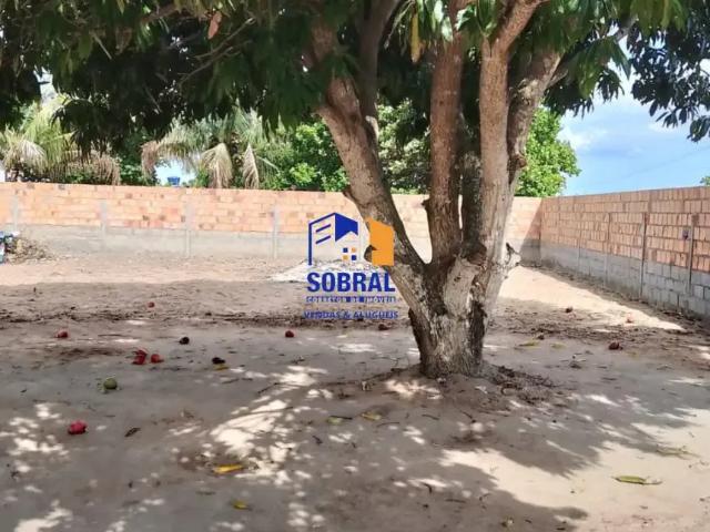 Sítio e chácara venda em Região Geográfica Imediata de Feira de Santana, Região Metropolitana de Feira de Santana