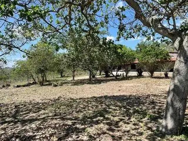 Sítio e chácara venda em Região Geográfica Imediata de Feira de Santana, Região Metropolitana de Feira de Santana