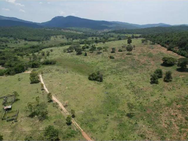 Sítio e chácara venda em Região Geográfica Imediata de Diamantina, Felício dos Santos