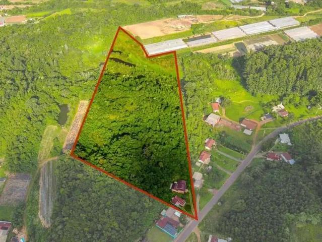 Sítio e chácara venda em Região Geográfica Imediata de Caxias do Sul, Feliz