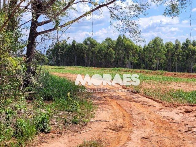 Sítio e chácara venda em Região Imediata de Marília, Fernão