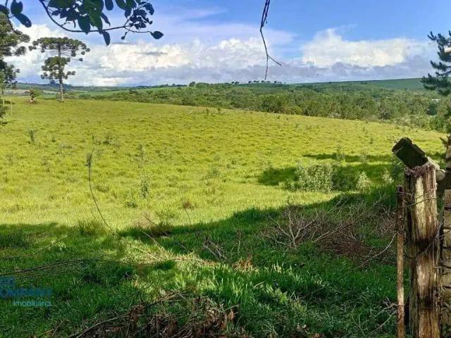 Sítio e chácara venda em Região Geográfica Imediata de Irati, Fernandes Pinheiro