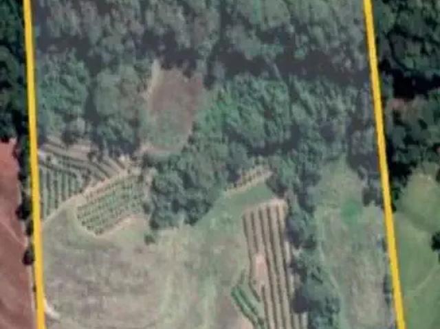Sítio e chácara venda em Região Imediata de Catanduva, Fernando Prestes