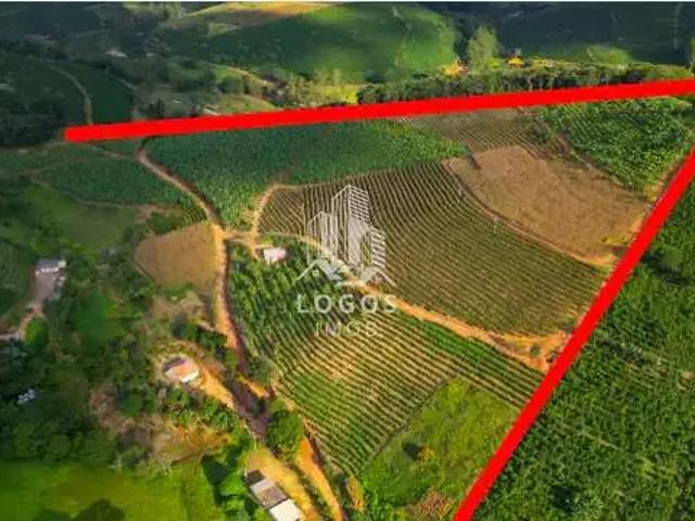 Sítio e chácara venda em Região Geográfica Imediata de Muriaé, Fervedouro