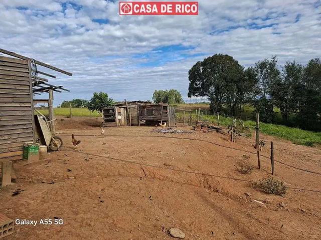 Sítio e chácara venda em Região Geográfica Imediata de Ibaití, Região Sul