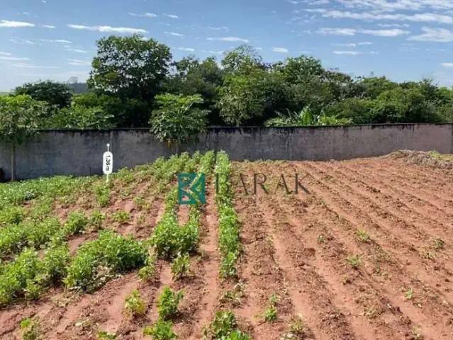 Sítio e chácara venda em Região Geográfica Imediata de Maringá, Floraí
