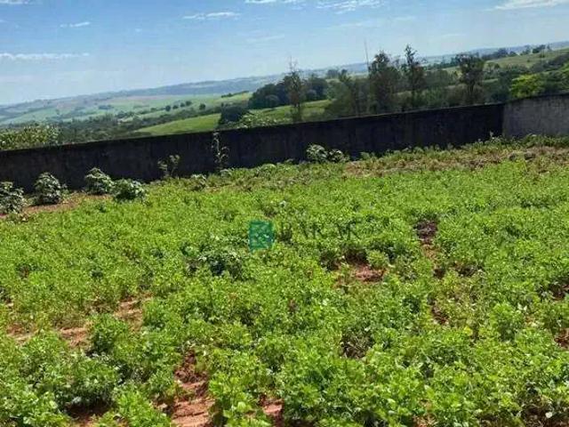 Sítio e chácara venda em Região Geográfica Imediata de Maringá, Floraí