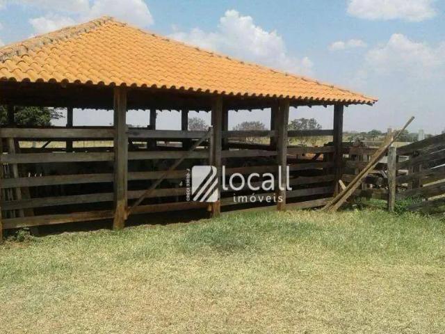 Sítio e chácara venda em Região Imediata de Votuporanga, Floreal