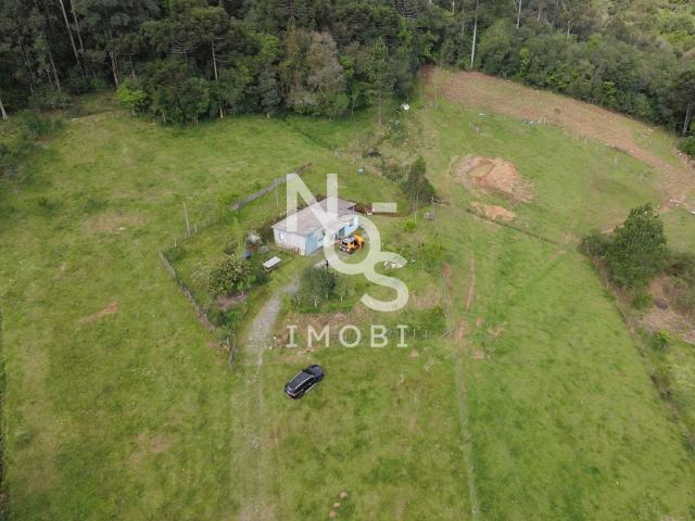 Sítio e chácara venda em Flores da Cunha, Região Geográfica Intermediária de Caxias do Sul