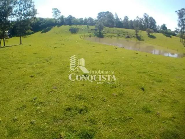 Sítio e chácara venda em Região Geográfica Imediata de Caxias do Sul, Flores da Cunha