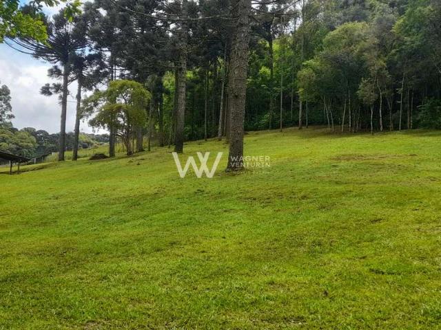 Sítio e chácara venda em Região Geográfica Imediata de Caxias do Sul, Flores da Cunha