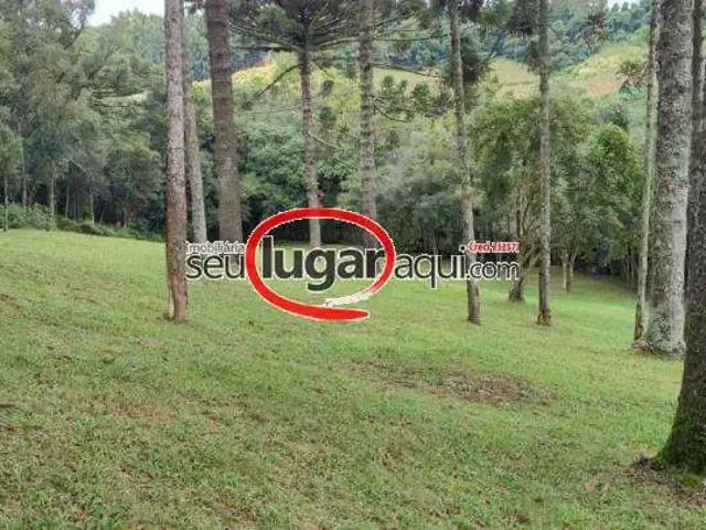 Sítio e chácara venda em Região Geográfica Imediata de Caxias do Sul, Flores da Cunha
