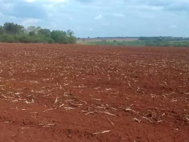 Sítio e chácara venda em Região Geográfica Imediata de Flores de Goiás, Flores de Goiás